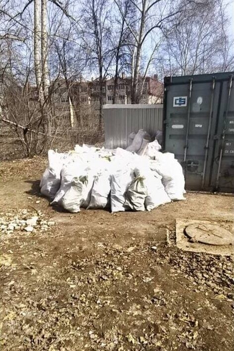 Вывоз мусора с дачного участка фото 1